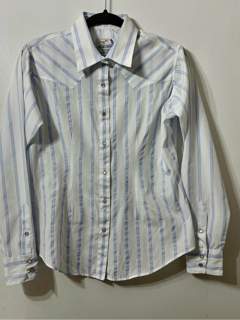 Panhandle Slim White and Light Blue Striped Western Button-Down Shirt